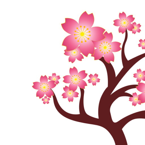 Pink cherry blossom illustration
